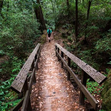 Hiking the Santa Cruz Mountains | Santa cruz mountains, Santa cruz, California travel