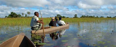 Okavango Delta Safari Tours 2023/2024 | On The Go Tours