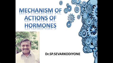 Mechanism of action of Hormones | Dr.SP.Sevarkodiyone - YouTube