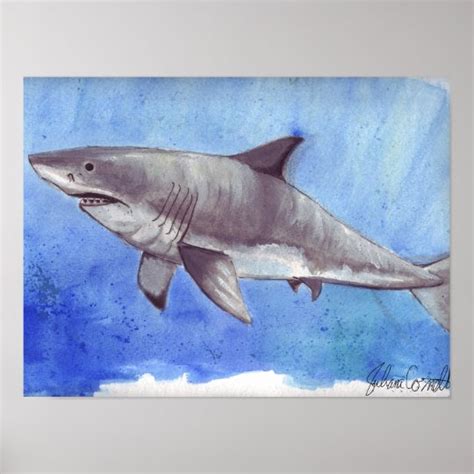 Watercolor Great White Shark Poster | Zazzle.com