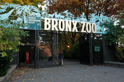 Bronx Zoo 5k 2024 - Tamma Fidelity