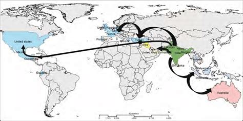 1: Major migrant smuggling routes from South Asia | Download Scientific Diagram