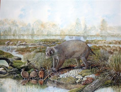 New fossil family of giant wombat relatives discovered in Australia – Griffith News