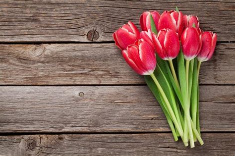 Premium Photo | Red tulip flowers bouquet