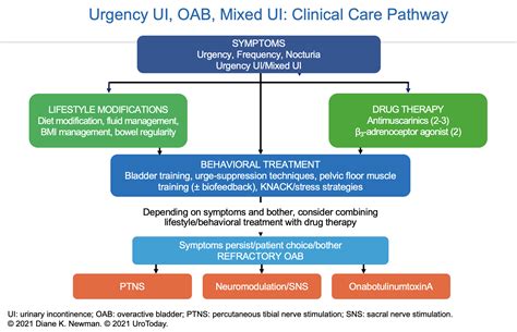 Overactive Bladder (OAB) and Urinary Incontinence Clinical Care Pathway