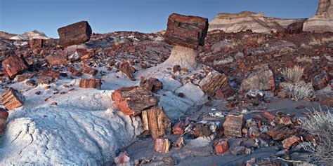 Visiting Petrified Forest National Park (Facts & Guide)