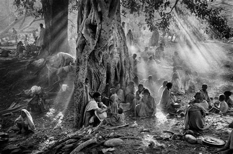 Breathtaking images by Sebastiao Salgado from The Salt of the Earth ...