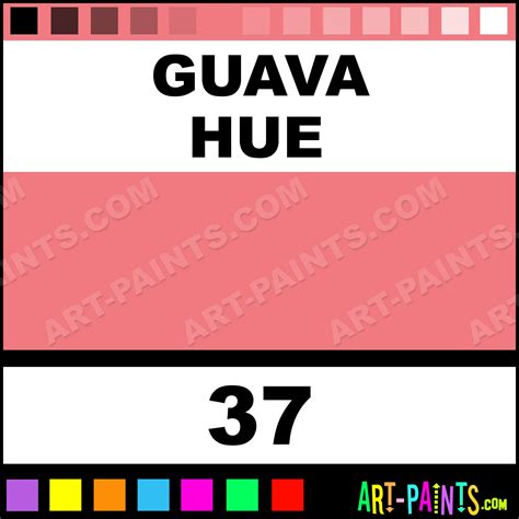 Guava Graffiti Spray Paints - Aerosol Decorative Paints - 37 - Guava ...