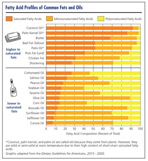 A Closer Look at Fats (Grades 6-8)