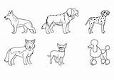 Razas de Perros dibujo Para Colorear E Imprimir sketch template
