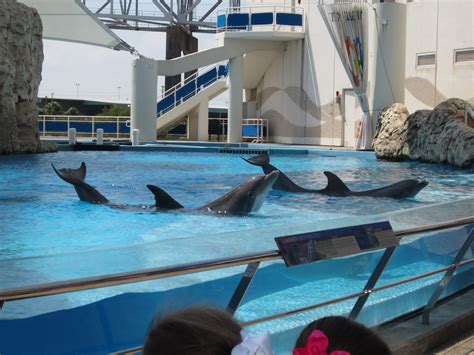 Just Us!: Corpus Christi aquarium