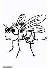 Mosca Fofa Para colorir sketch template