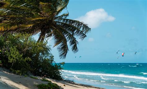 Amber Cove River Tubing and Caberete Beach | Dominican Republic Shore ...