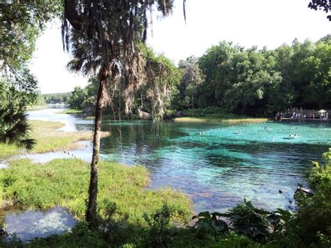 Rainbow River (Dunnellon) - 2018 All You Need to Know Before You Go (with Photos) - TripAdvisor