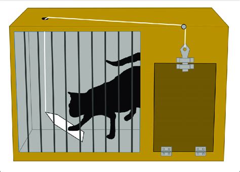 | A 'puzzle box' devised by Thorndike (1899, 2017) to study learning... | Download Scientific ...