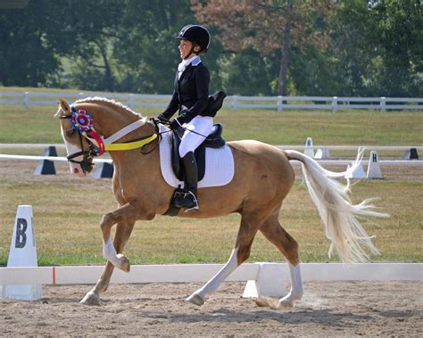 2017 National Dressage Pony Cup | US Equestrian