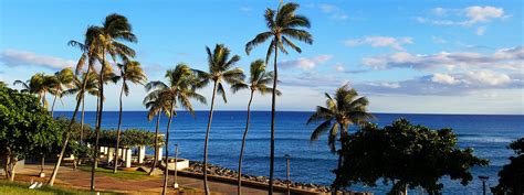 Kakaako Waterfront Park - Things to Do in Honolulu