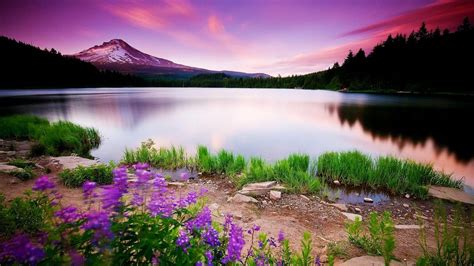 Hd nature wallpapers, Beautiful landscape wallpaper, Beautiful nature wallpaper