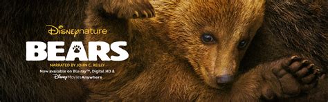 Bears | Disneynature