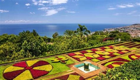 12 Best Things To Do In Madeira For A Refreshing Portugal Trip