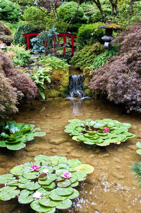 Japanese Garden | Japanese garden, Butchart gardens, Beautiful gardens