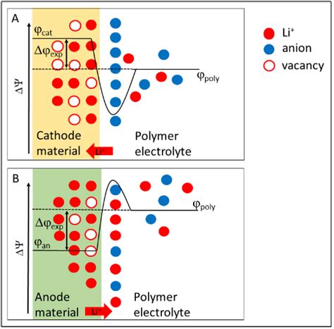 Schematic drawing of the measured potential gradient at the interface ...