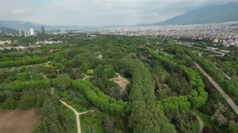 Bursa Botanical Park, Stock Video - Envato Elements