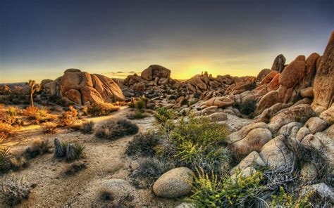 Joshua Tree National Park Wallpapers - Wallpaper Cave