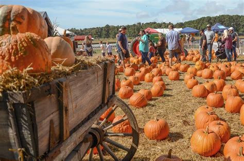 25 Pumpkin Farms Near Me - The Best Pumpkin Patches in America