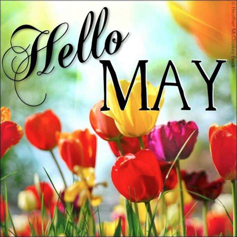 Hello May Quotes. QuotesGram