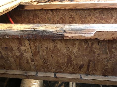 How To Repair A Floor Joist Damaged By Water | Floor Roma