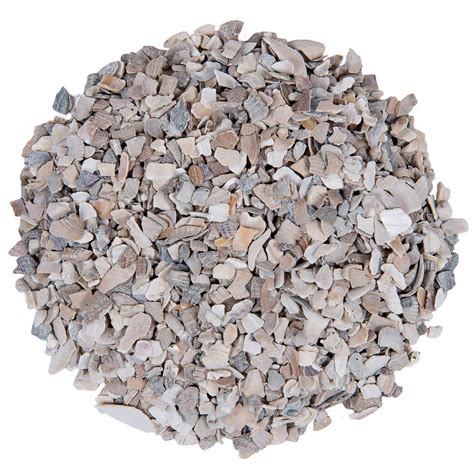 Chicken Oyster Shell - Gives the Calcium Boost Your Layers Need - Small Pet Select U.S.