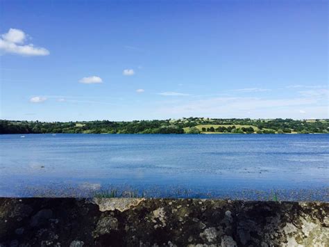 Blagdon Lake - Bristol dog walk - Bristol Barkers