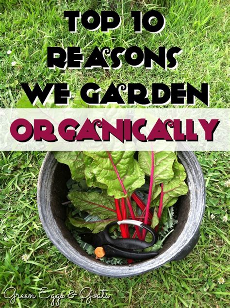 Reasons to Garden Organically