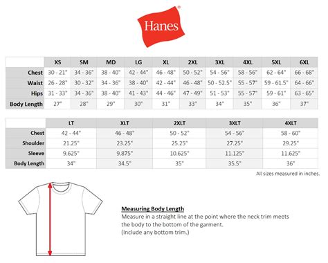 壮大 Hanes T Shirt Size Chart - あんせなこめ壁