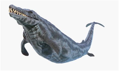 Basilosaurus - A-Z Animals