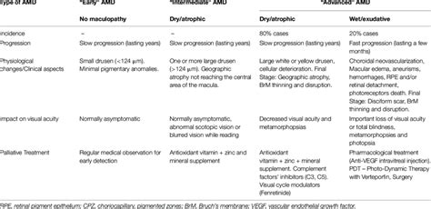 AMD stages: pathological characterization and clinical aspects ...