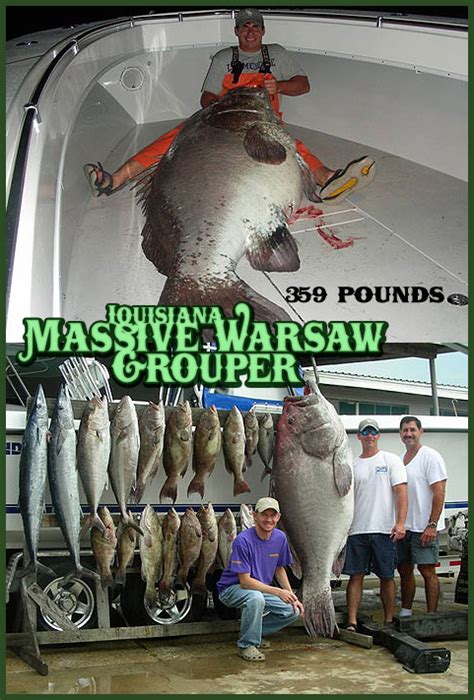 Giant Warsaw Grouper | Fishing Louisiana