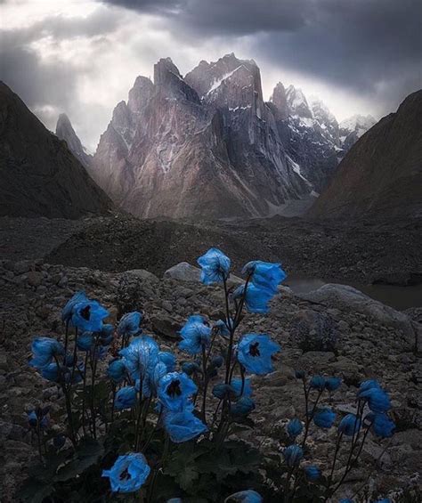 Baltoro, glaciar | Fotografia natura, Paesaggi, Arte del paesaggio