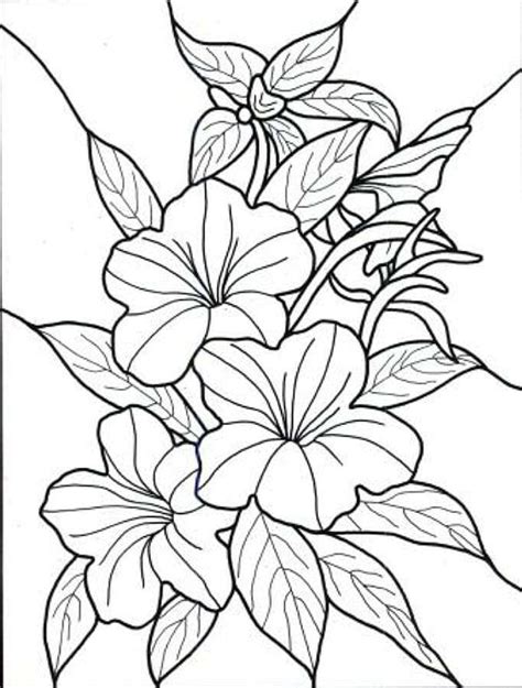 TROPICAL FLOWERS; A STAINED GLASS COLORING BOOK