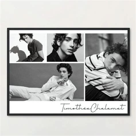 PREMIUM Timothée Chalamet Wall Art Exclusive Print Poster Timothée ...