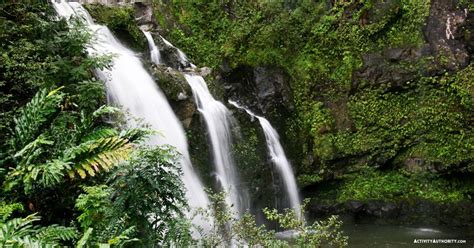 Maui Private Hiking Tour - Guided Rainforest & Waterfall Hike