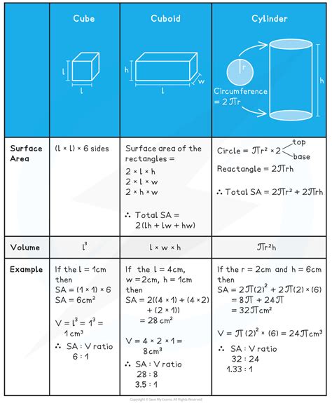 CIE A Level Biology复习笔记4.2.7 Surface Area to Volume Ratios-翰林国际教育