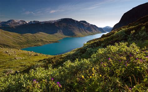 nature, Landscape, Mountain, Fjord, Snowy Peak, Sunlight, Grass ...