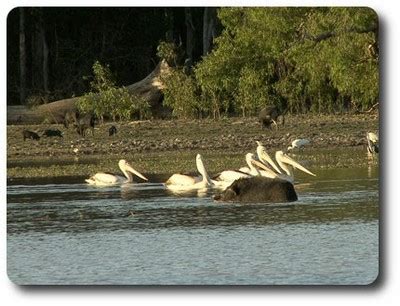 Strathburn Cattle Station — Explore Cooktown and Cape York