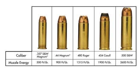 selecting a handgun for hunting hogs, deer,ELK | Page 2 | Grumpys ...