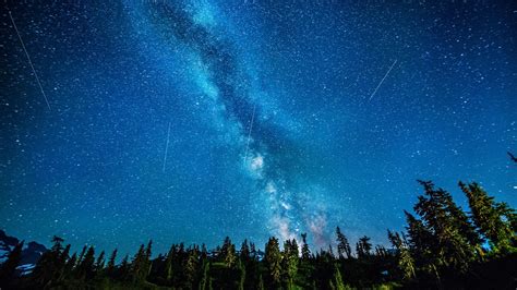 Stars Milky Way Galaxy Night Asteroid Forest Trees HD wallpaper | nature and landscape ...