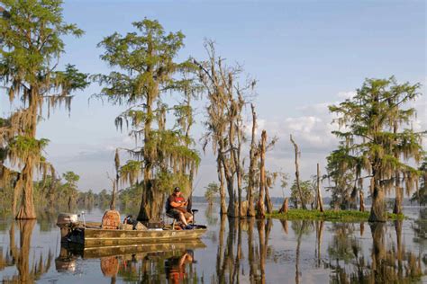 12 Best Swamp Tours in Louisiana ️ 2024 Update