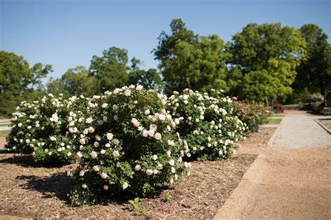 Tulsa Garden Center at Woodward Park