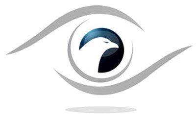 What is an Eagle Eye Strategic Focus? - LMA-Consulting Group, a supply ...